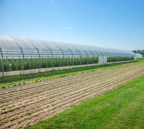 resistenza-ai-pesticidi-Kyminasi-Plants