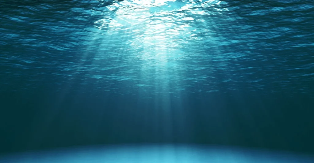 l'acqua trasporta le frequenze di kyminasi plants