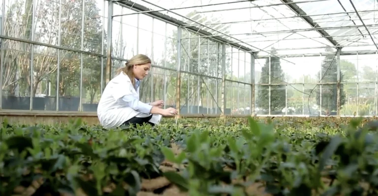 Kyminasi Plants è un valido supporto per l'agricoltura rigenerativa