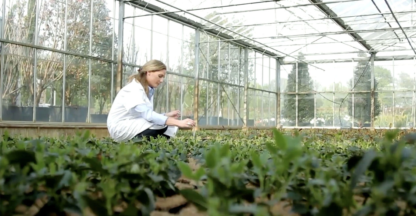 Kyminasi Plants è un valido supporto per l'agricoltura rigenerativa
