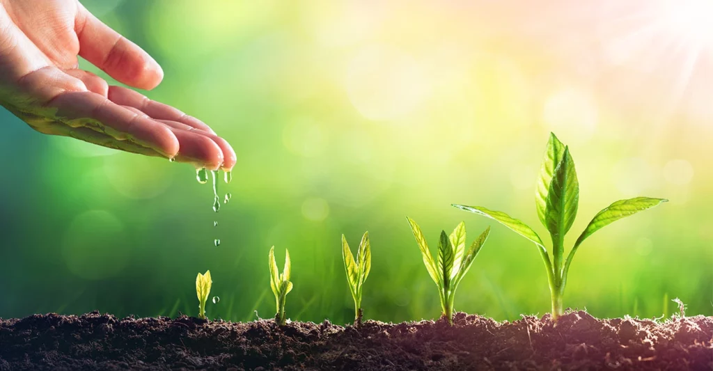 coltivare in modo naturale con Kyminasi Plants
