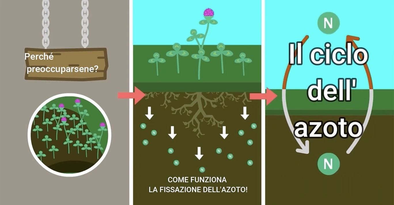 azotofissazione naturale